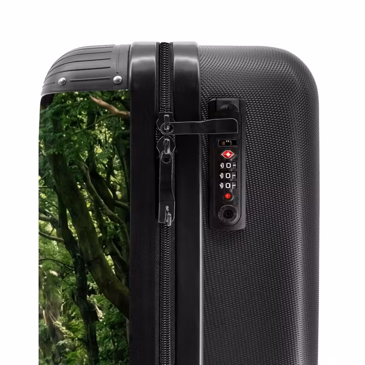 Suitcase - Road - Trees - Nature - Greenery — 5