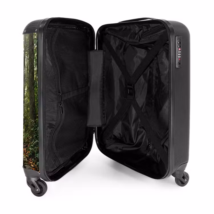 Suitcase - Rocks - Stairs - Forest - Nature — 3