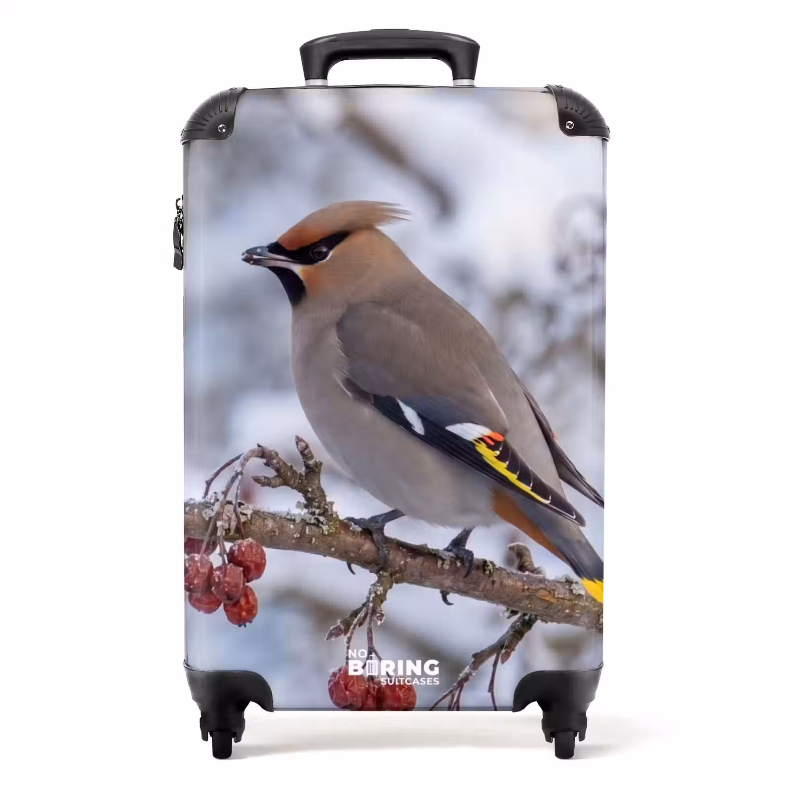 Suitcase - Eurasian Jay - Berries - Winter - Nature — 1