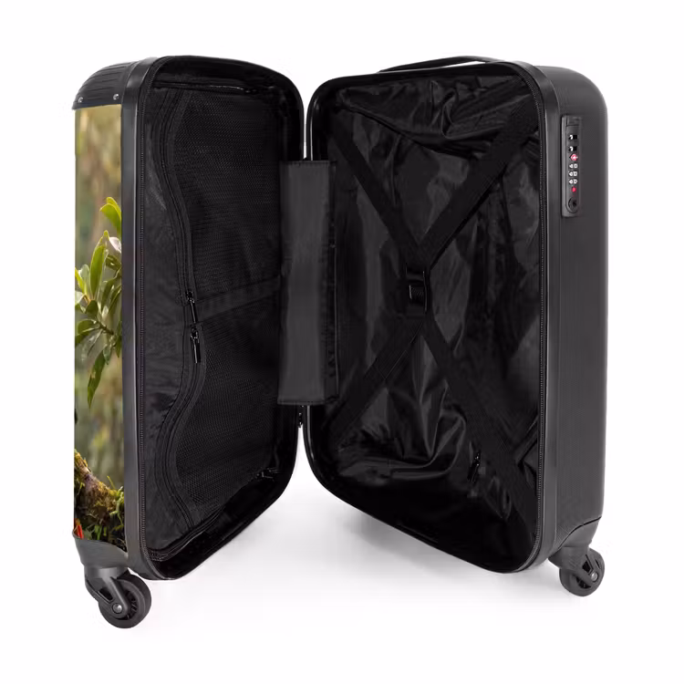 Suitcase - Ara - Jungle - Red — 3