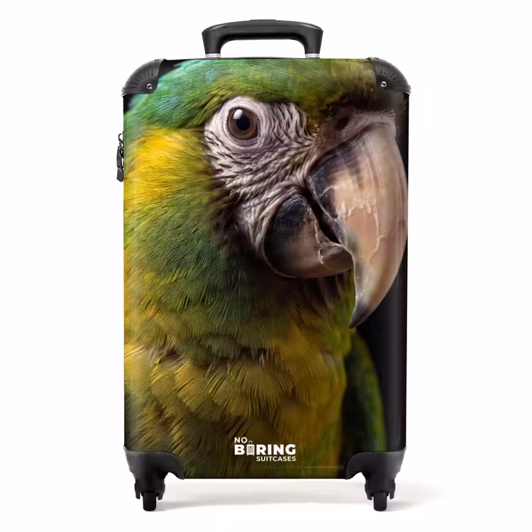 Suitcase - Ara - Portrait - Green — 1