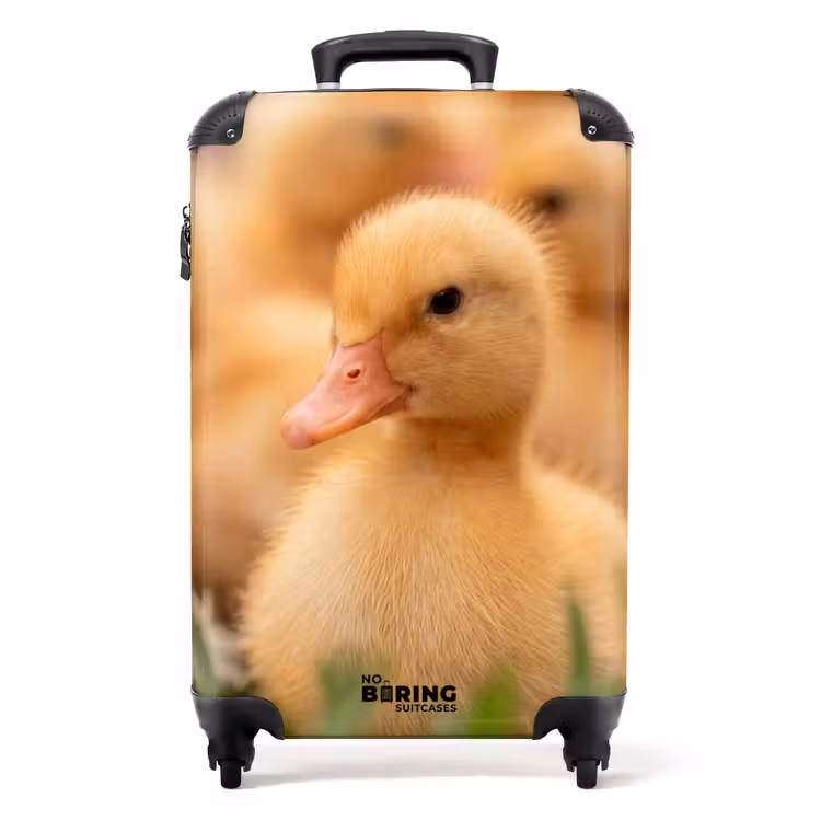 Suitcase - Arrow - Duck - Nature - Yellow — 1