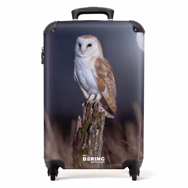 Suitcase - Barn Owl - Moon - Night — 1