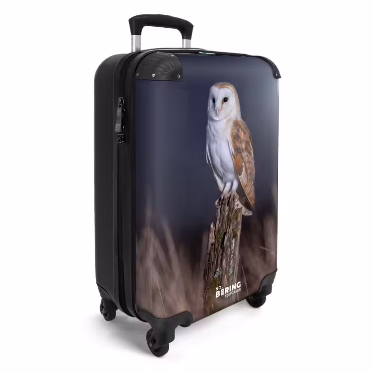 Suitcase - Barn Owl - Moon - Night — 4