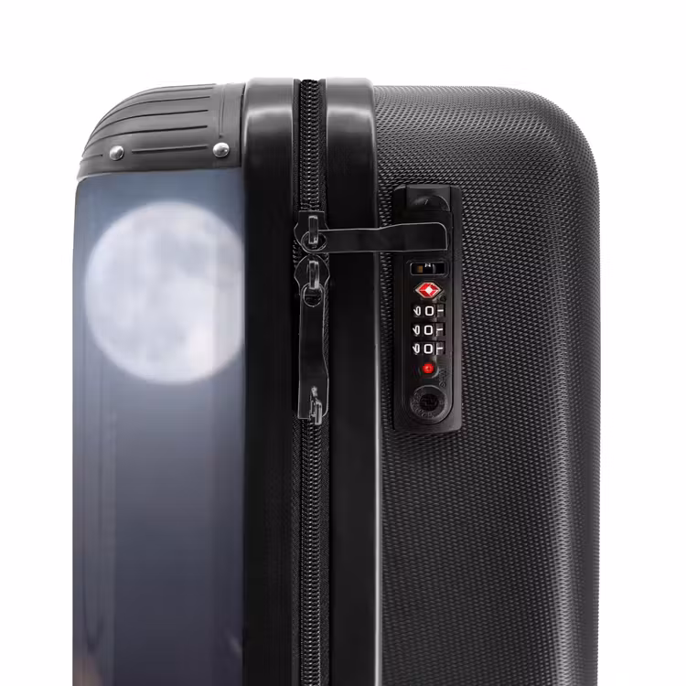 Suitcase - Barn Owl - Moon - Night — 5