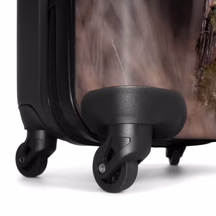 Suitcase - Barn Owl - Moon - Night — 6