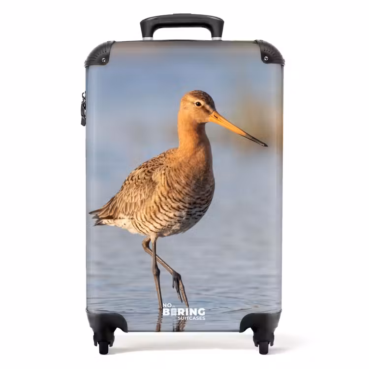 Suitcase - Bird - Wading Bird - Water - Nature — 1