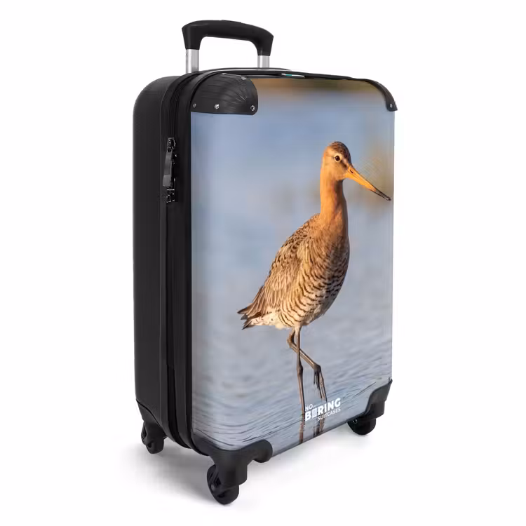 Suitcase - Bird - Wading Bird - Water - Nature — 4