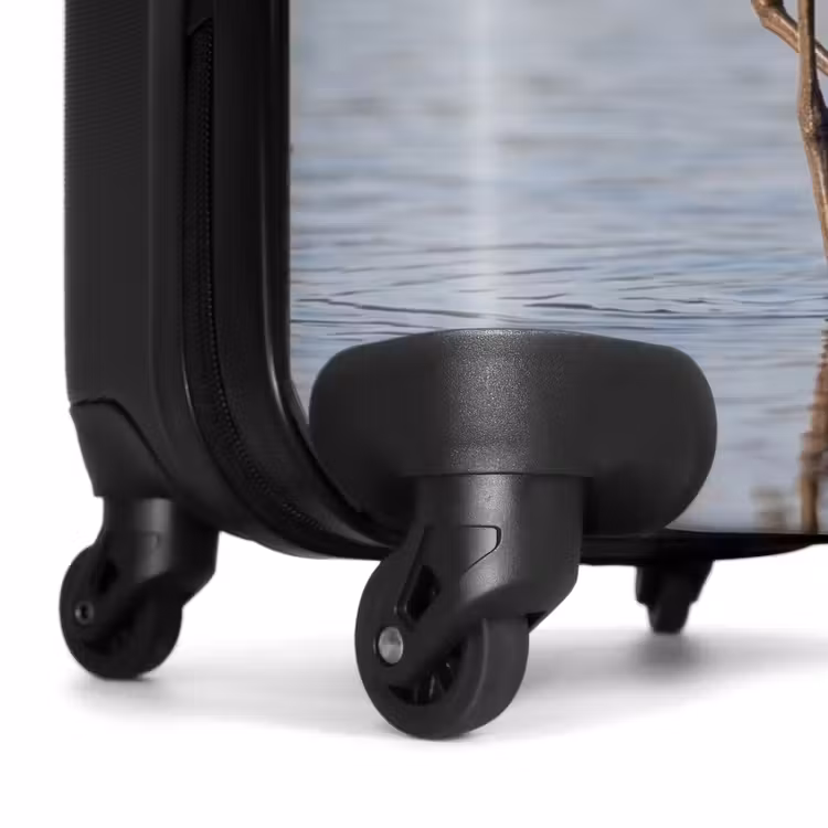 Suitcase - Bird - Wading Bird - Water - Nature — 6