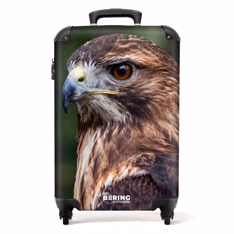 Suitcase - Buzzard - Bird of Prey - Nature - Brown — 1