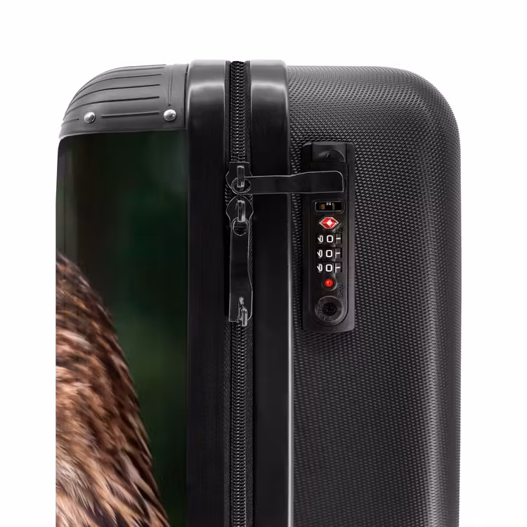 Suitcase - Buzzard - Bird of Prey - Nature - Brown — 5