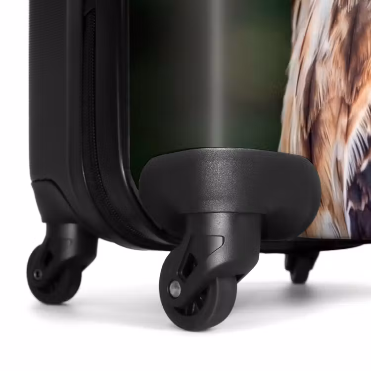 Suitcase - Buzzard - Bird of Prey - Nature - Brown — 6