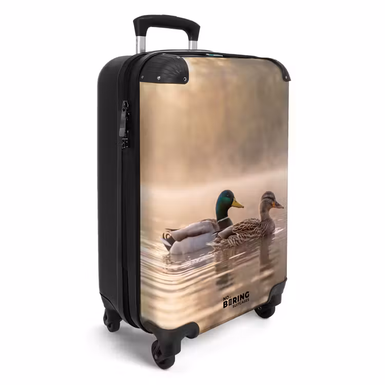 Suitcase - Ducks - Water - Fog - Nature — 4