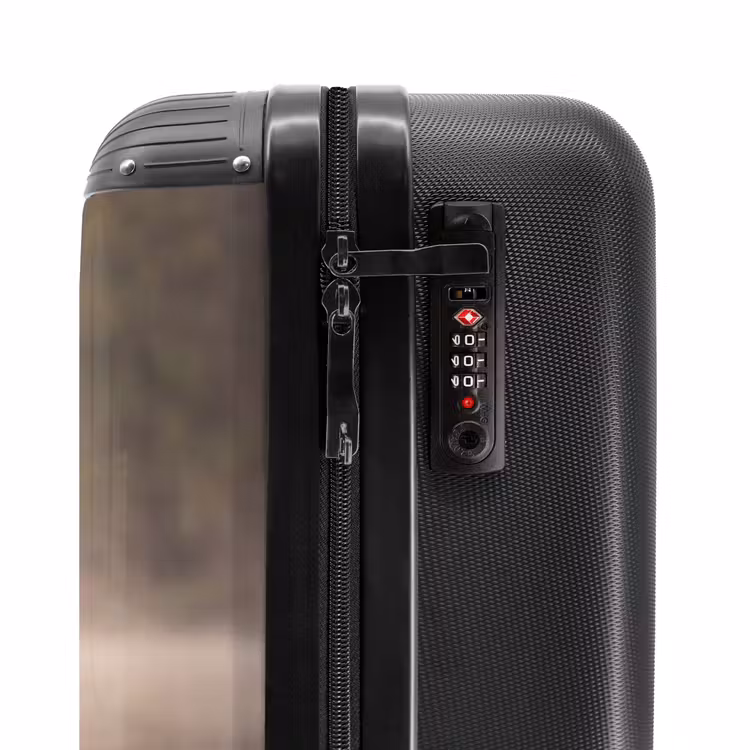 Suitcase - Ducks - Water - Fog - Nature — 5