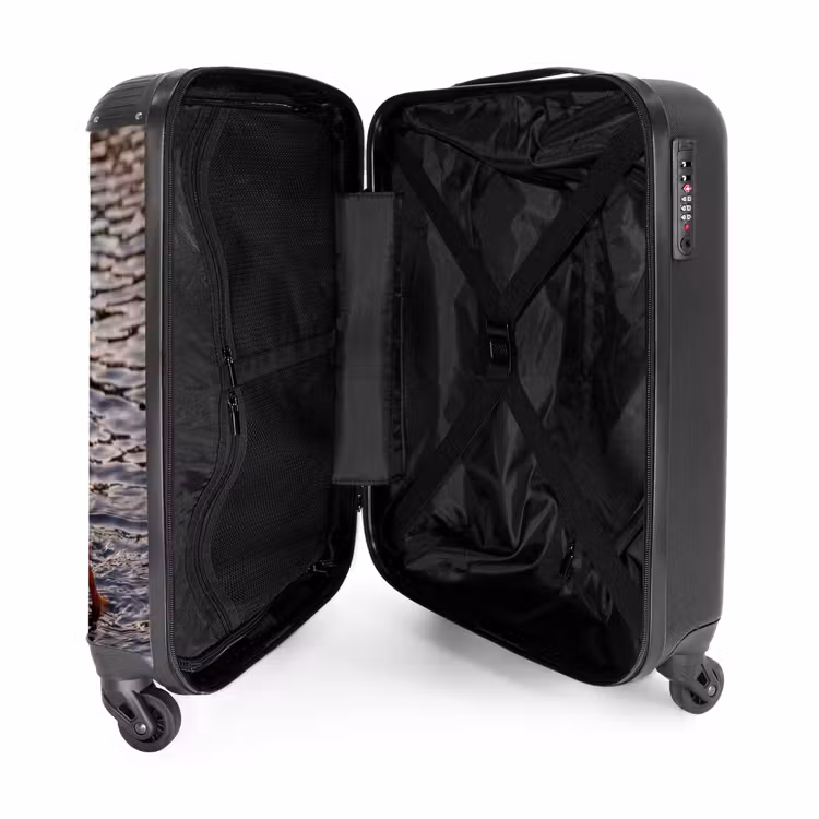 Suitcase - Ducks - Water - Nature — 3