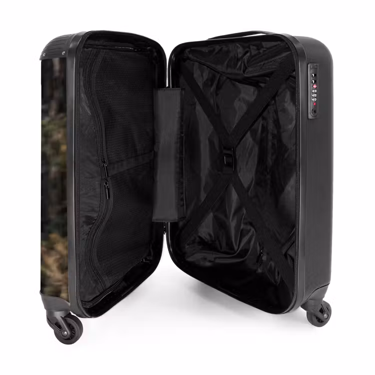 Suitcase - Eagle - Flying - Forest - Nature — 3