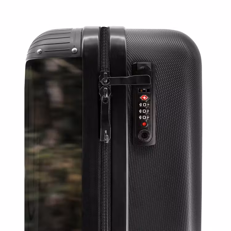Suitcase - Eagle - Flying - Forest - Nature — 5