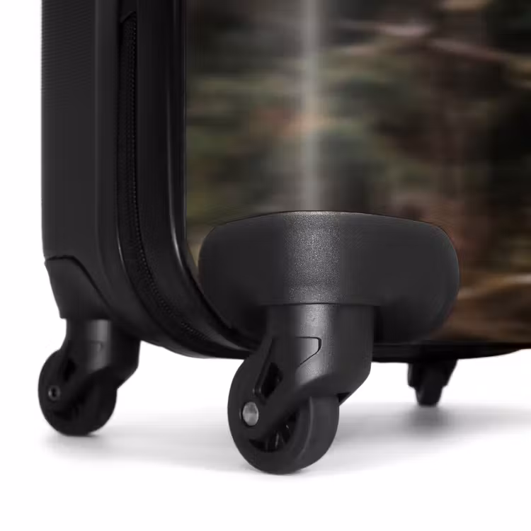 Suitcase - Eagle - Flying - Forest - Nature — 6