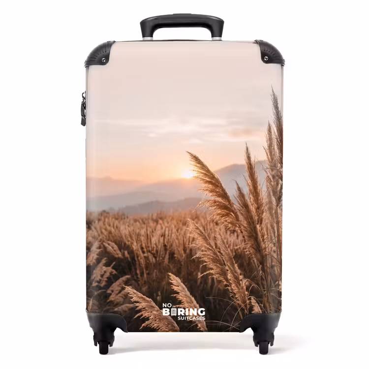 Suitcase - Grass - Field - Sun - Nature — 1