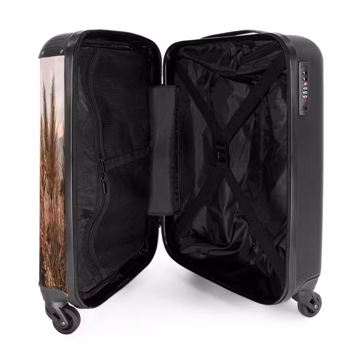 Suitcase - Grass - Field - Sun - Nature — 3