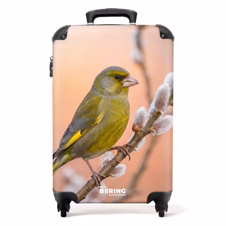 Suitcase - Greenfinch - Catkins - Spring - Nature - Soft — 1