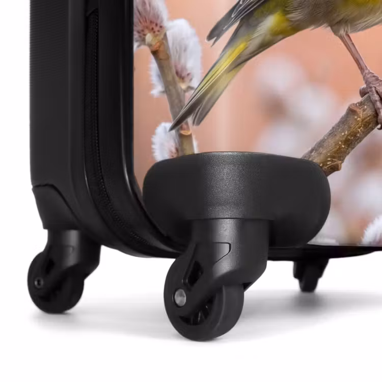 Suitcase - Greenfinch - Catkins - Spring - Nature - Soft — 6