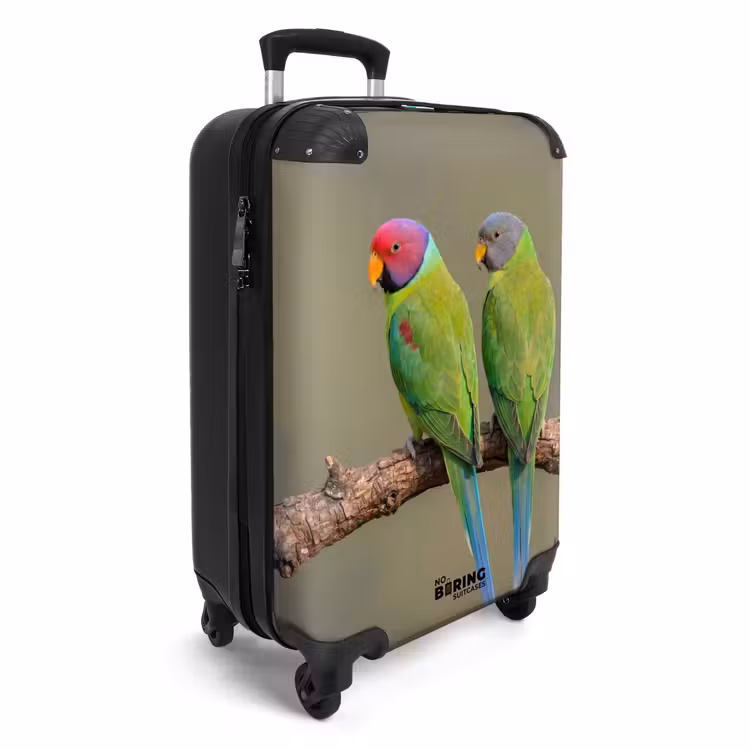 Suitcase - Parrot - Branch - Nature - Colorful — 4