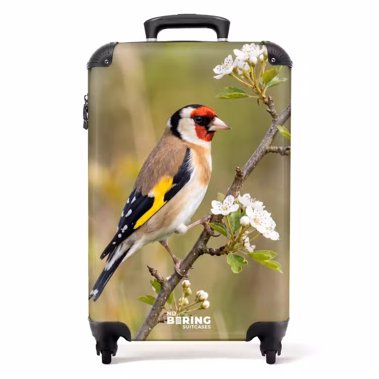 Suitcase - Putter - Blossom - Spring - Nature - Colorful — 1