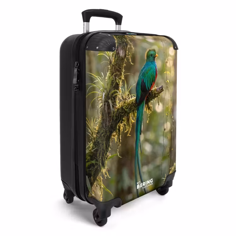 Suitcase - Quetzal - Jungle - Nature - Green — 4
