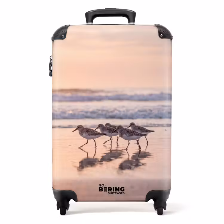 Suitcase - Sea - Birds - Beach — 1