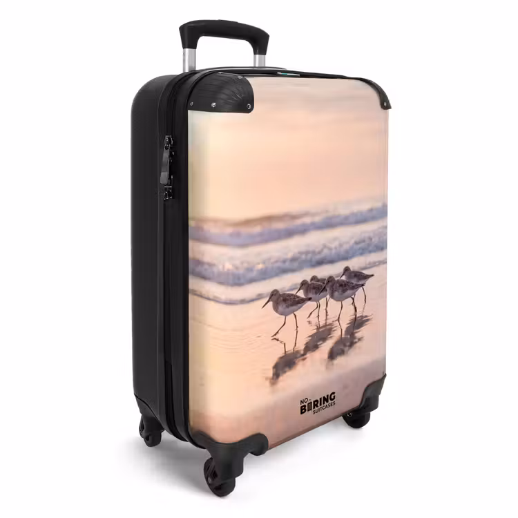 Suitcase - Sea - Birds - Beach — 4