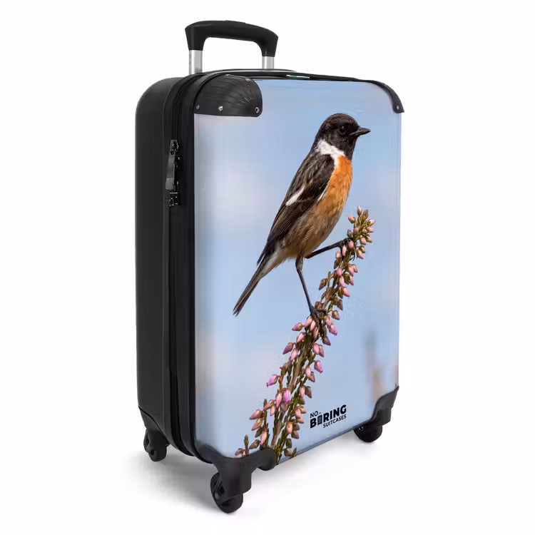 Suitcase - Stonechat - Heath - Purple - Nature - Atmospheric — 4