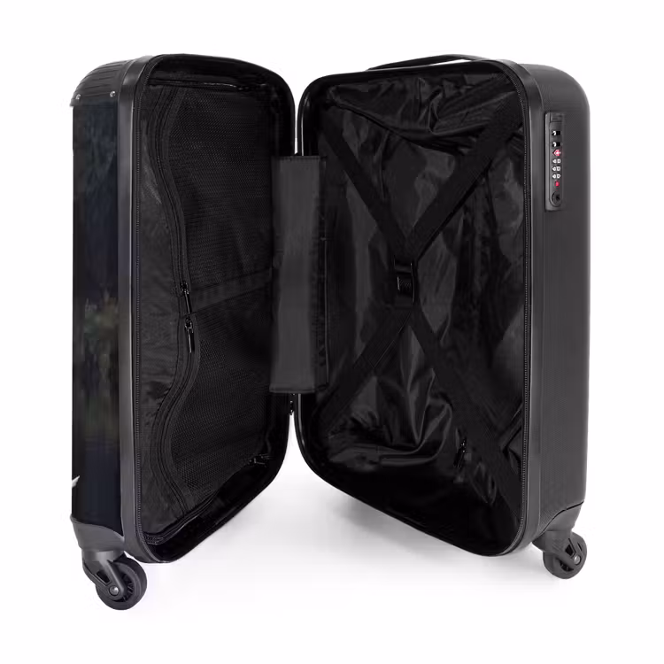 Suitcase - Swans - River - Forest — 3