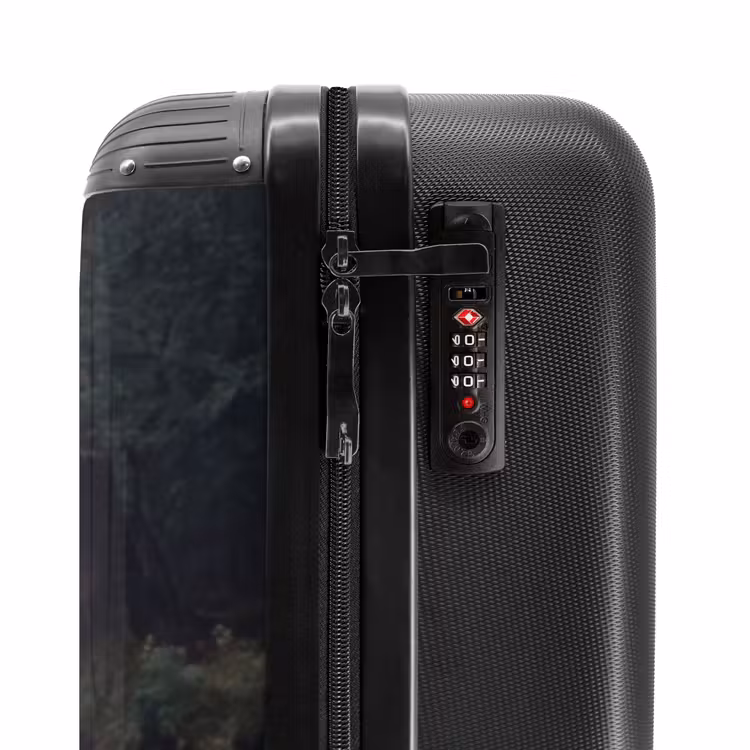 Suitcase - Swans - River - Forest — 5