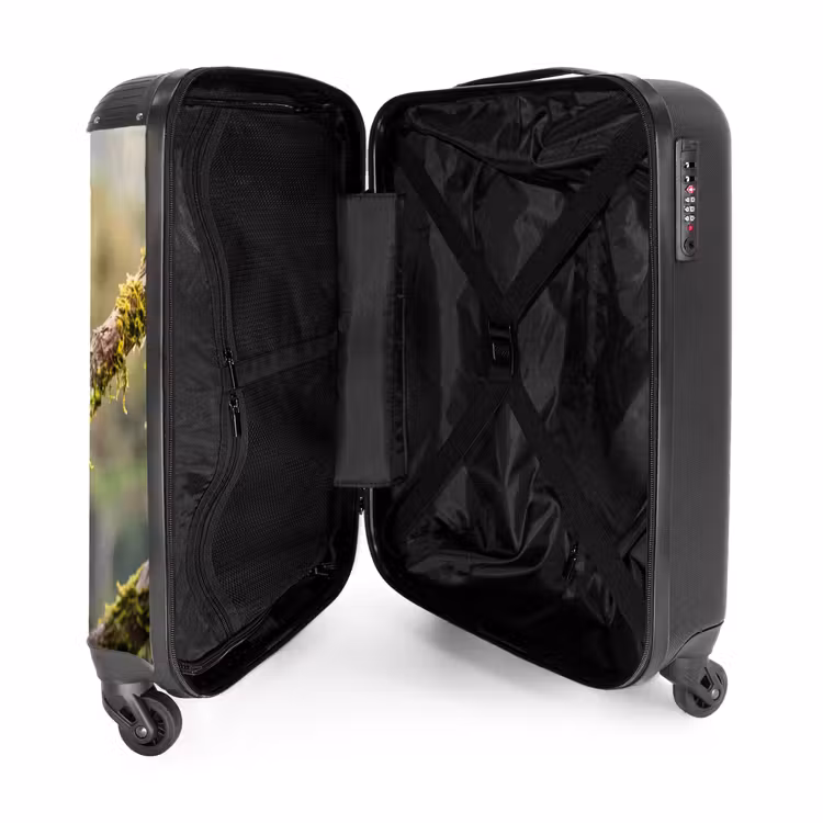 Suitcase - Toucan - Jungle - Nature - Colorful — 3