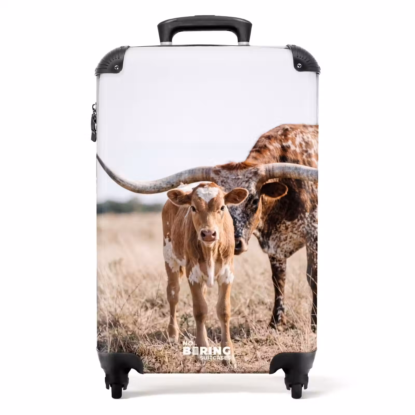 Suitcase - Texas Longhorn - Calf - Pasture - Animals — 1