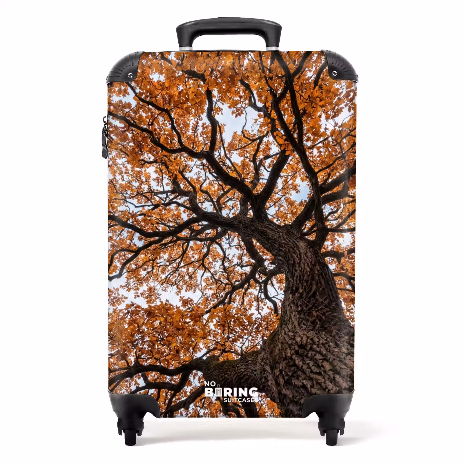 Suitcase - Tree - Canopy - Fall - Orange - Atmospheric — 1