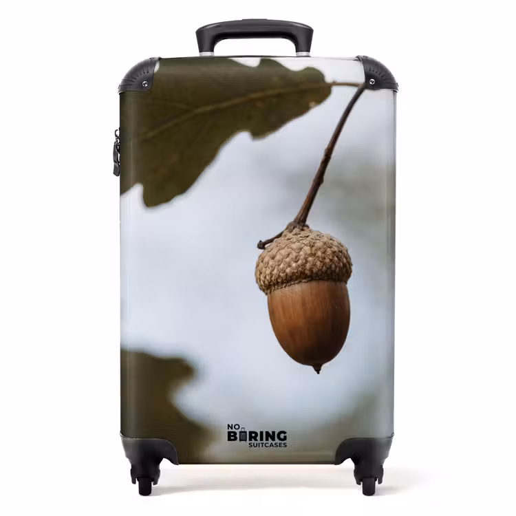 Suitcase - Acorn - Oak Leaf - Forest - Fall - Nature — 1