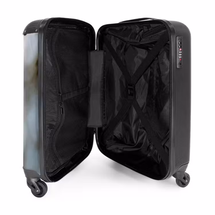 Suitcase - Acorn - Oak Leaf - Forest - Fall - Nature — 3