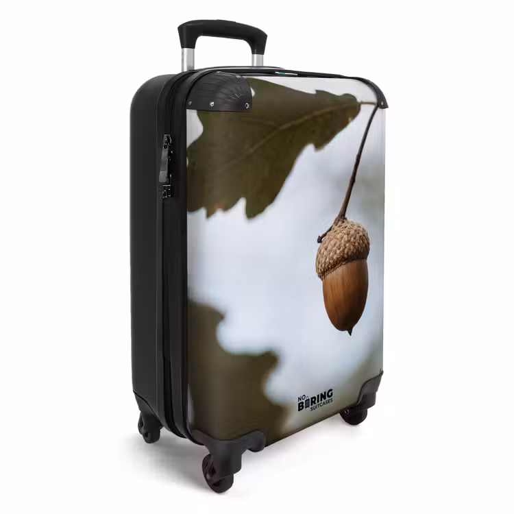 Suitcase - Acorn - Oak Leaf - Forest - Fall - Nature — 4