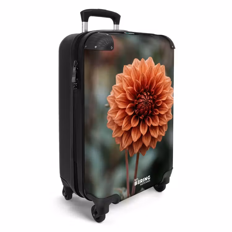 Suitcase - Dahlia - Flower - Nature - Atmospheric — 4
