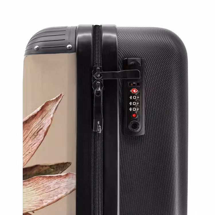 Suitcase - Dried Flower - Protea - Vintage - Beige - Rustic — 5