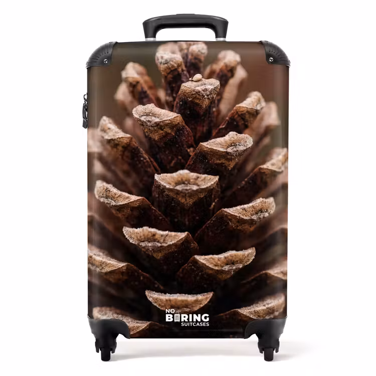 Suitcase - Pine Cone - Forest - Fall - Brown - Atmospheric — 1