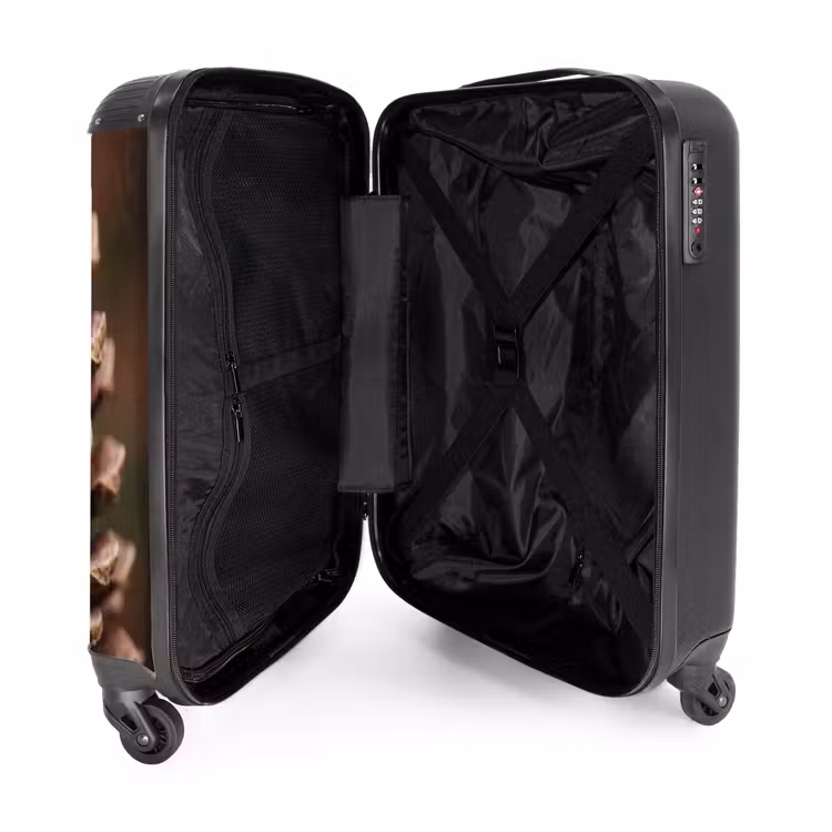 Suitcase - Pine Cone - Forest - Fall - Brown - Atmospheric — 3