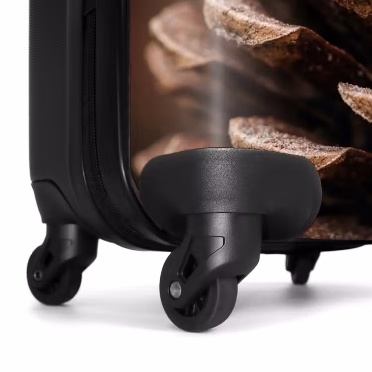 Suitcase - Pine Cone - Forest - Fall - Brown - Atmospheric — 6