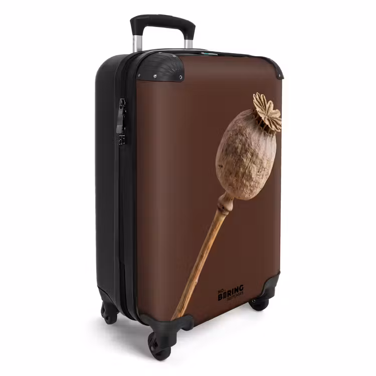 Suitcase - Poppy Bulb - Dried Flower - Brown - Minimalist — 4