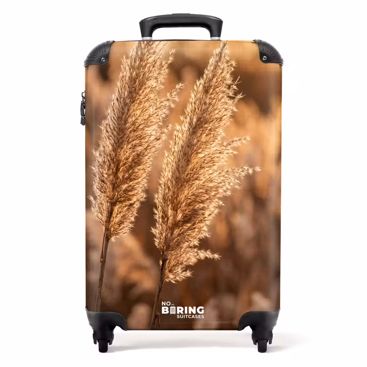 Suitcase - Reed Plumes - Grass - Sunset - Gold - Serene — 1