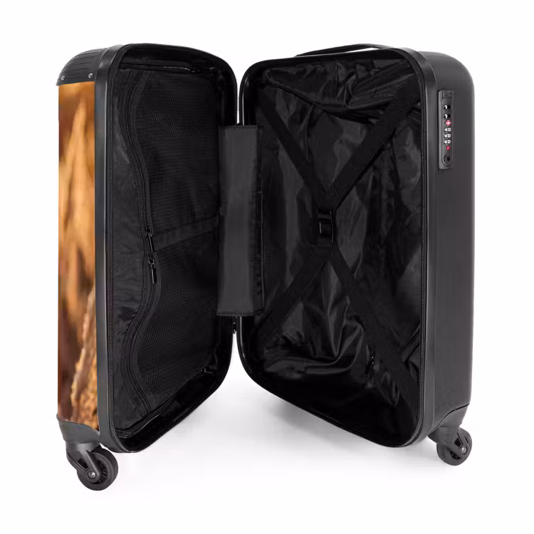 Suitcase - Reed Plumes - Grass - Sunset - Gold - Serene — 3