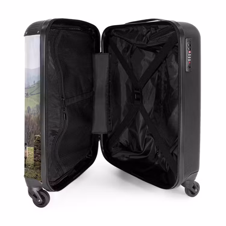 Suitcase - Sheep - Row - Pasture - Animals - Countryside — 3