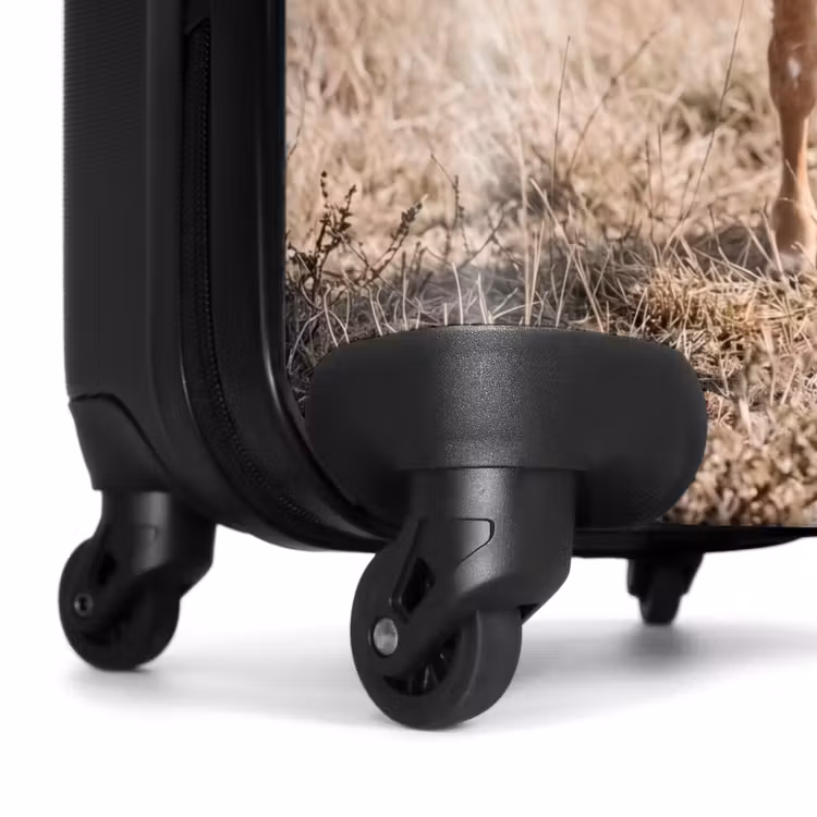 Suitcase - Texas Longhorn - Calf - Pasture - Animals — 6